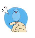 白文鳥のししゃも（個別スタンプ：36）