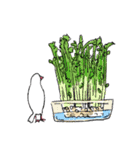 白文鳥のししゃも（個別スタンプ：37）