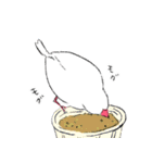 白文鳥のししゃも（個別スタンプ：39）