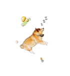 柴犬めいちゃん2（個別スタンプ：16）