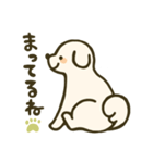 垂れ耳わんこさんスタンプ（個別スタンプ：7）