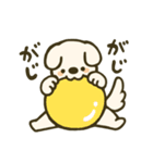 垂れ耳わんこさんスタンプ（個別スタンプ：16）