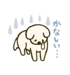 垂れ耳わんこさんスタンプ（個別スタンプ：20）