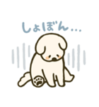 垂れ耳わんこさんスタンプ（個別スタンプ：22）