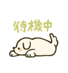 垂れ耳わんこさんスタンプ（個別スタンプ：23）