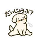 垂れ耳わんこさんスタンプ（個別スタンプ：25）