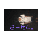 初心者なりに（個別スタンプ：1）
