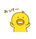 ヒヨこの部屋（個別スタンプ：13）