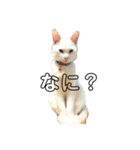 にゃんば猫（個別スタンプ：4）
