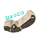 にゃんば猫（個別スタンプ：13）