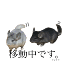我が家の愉快な動物たち（個別スタンプ：5）