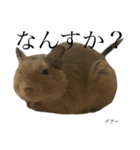 我が家の愉快な動物たち（個別スタンプ：14）