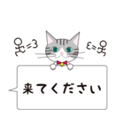 猫と私と家族の介護のスタンプ。利用者目線（個別スタンプ：12）