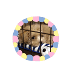 使えるランディースタンプ❤（個別スタンプ：3）