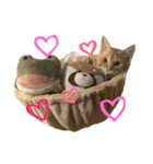 うちのトラ男（個別スタンプ：2）