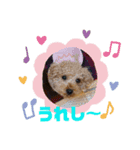 うちのこwww（個別スタンプ：8）