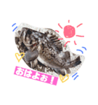 釣りGIRL♡Rockfish_nanachan 2（個別スタンプ：2）