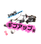 ミニチュアシュナウザーぴの（個別スタンプ：29）