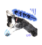 ミニチュアシュナウザーぴの（個別スタンプ：32）