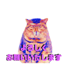 猫言霊アニメ（個別スタンプ：1）