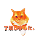 猫言霊アニメ（個別スタンプ：2）