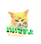 猫言霊アニメ（個別スタンプ：3）