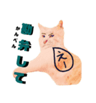 猫言霊アニメ（個別スタンプ：4）