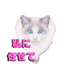 猫言霊アニメ（個別スタンプ：5）