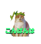猫言霊アニメ（個別スタンプ：7）