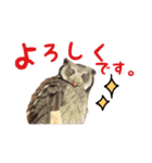 ポンちゃんpart2（個別スタンプ：10）