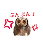 ポンちゃんpart2（個別スタンプ：15）