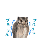 ポンちゃんpart2（個別スタンプ：19）