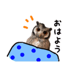 ポンちゃんpart2（個別スタンプ：23）