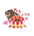ポンちゃんpart2（個別スタンプ：25）
