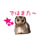 ポンちゃんpart2（個別スタンプ：26）