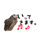 ポンちゃんpart2（個別スタンプ：32）