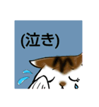 親子でねっこ。（個別スタンプ：13）