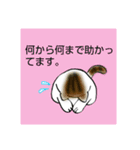 親子でねっこ。（個別スタンプ：14）
