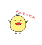 たらぴよちゃん（個別スタンプ：1）