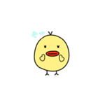 たらぴよちゃん（個別スタンプ：11）