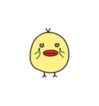 たらぴよちゃん（個別スタンプ：13）