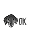 犬さんの言葉（個別スタンプ：5）
