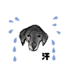 犬さんの言葉（個別スタンプ：8）