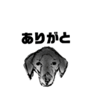 犬さんの言葉（個別スタンプ：11）