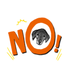 犬さんの言葉（個別スタンプ：15）