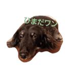 あゆゆとチョムリ②（個別スタンプ：3）