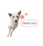 しゅたのんstamp.*（個別スタンプ：2）