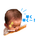 KOHARU STAMPS 3（個別スタンプ：12）