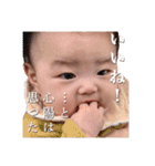 KOHARU STAMPS 3（個別スタンプ：20）