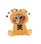 ハナさんのスタンプ！（個別スタンプ：28）